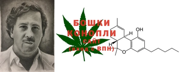 ГАЛЛЮЦИНОГЕННЫЕ ГРИБЫ Богородицк